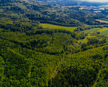 Linking ecosystem condition indicators to ecosystem services - a new SELINA publication