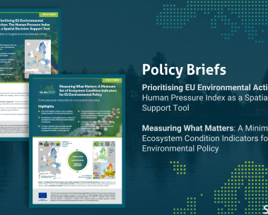 Two new SELINA policy briefs on ecosystem pressures and condition