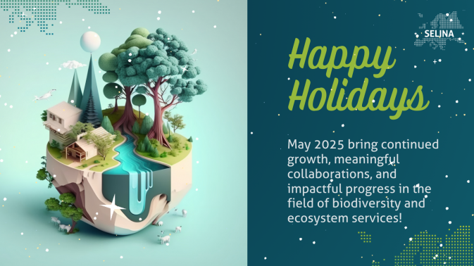 Happy Holidays from the SELINA team